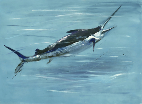 Swordfish - Anne Strutz