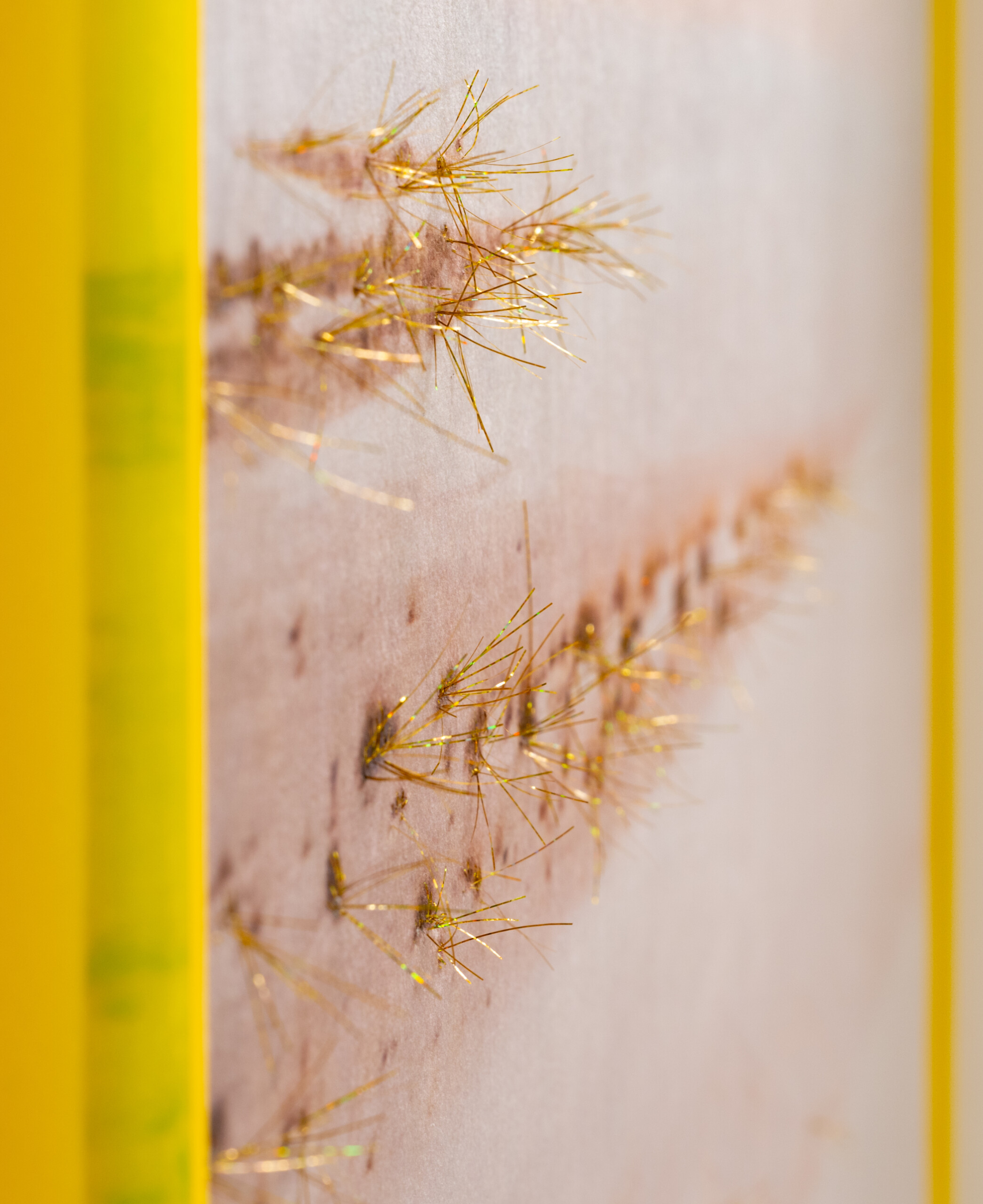 The Golden Eternity - Nicole Corbett - Image 2